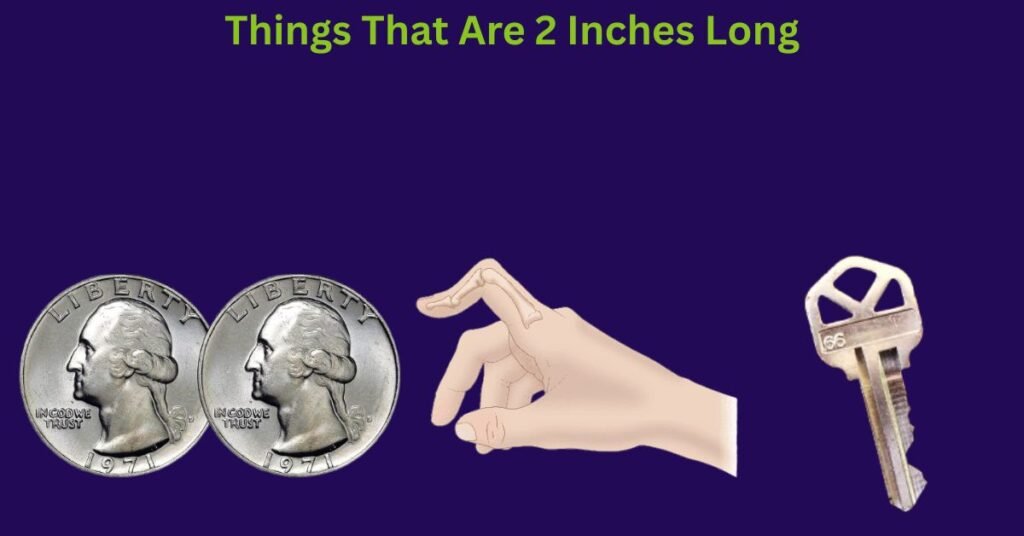 Things That Are 2 Inches Long