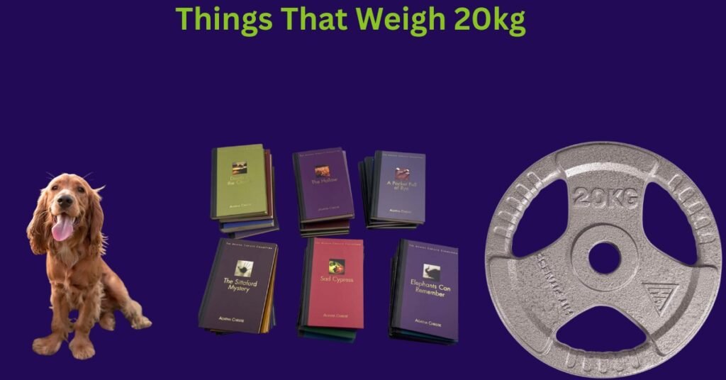 20Kg