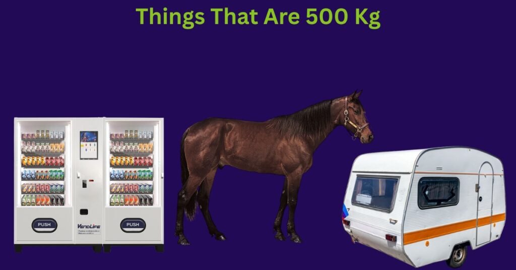 Things That Weigh 500 Kg