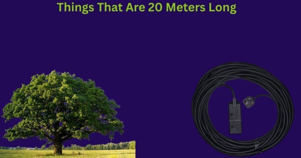How Long Is 20 Meters