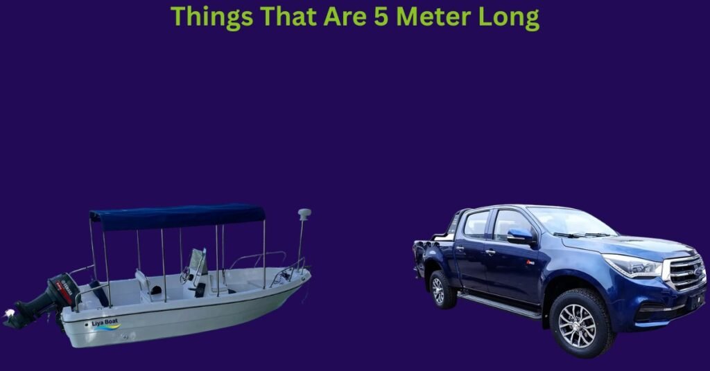 How Big Is 5 Meters