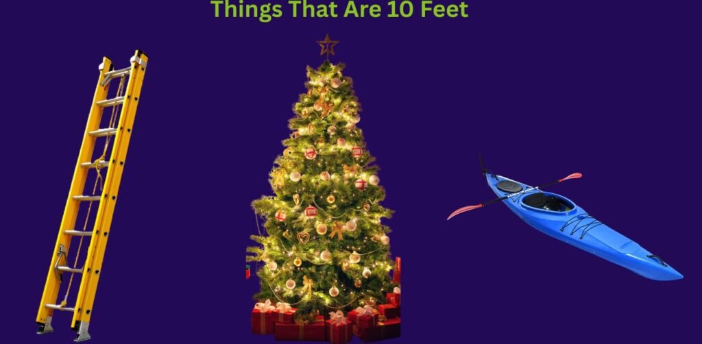 How Tall Is 10 Feet