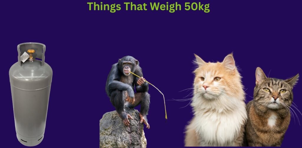 How Much Is 50kg