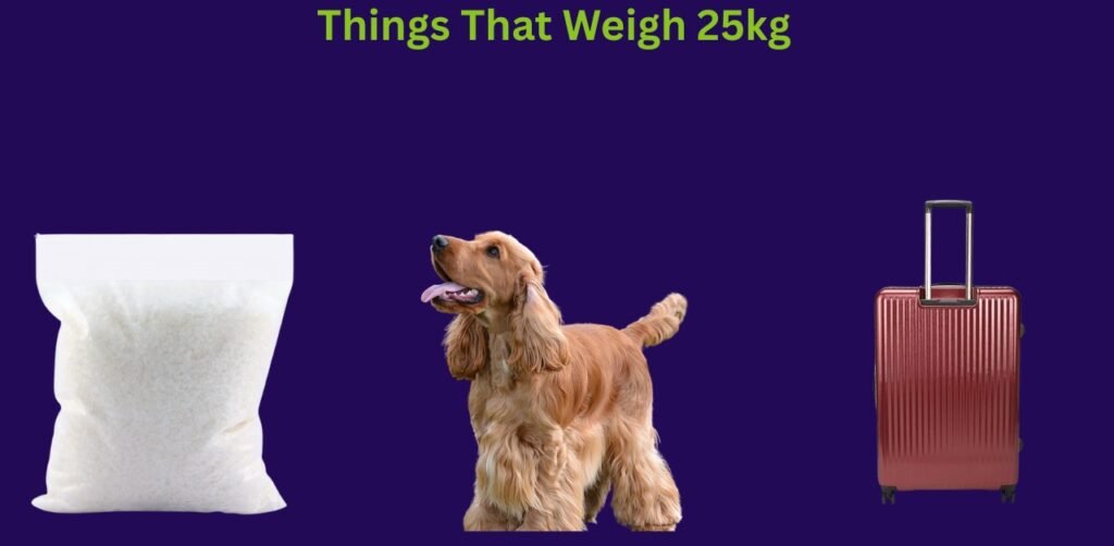 How Heavy Is 25kg