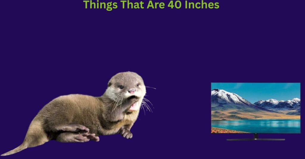 How Big Is 40 Inches
