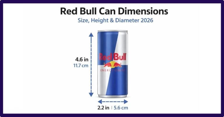 Red Bull Can Dimensions: A Complete Guide To Understanding
