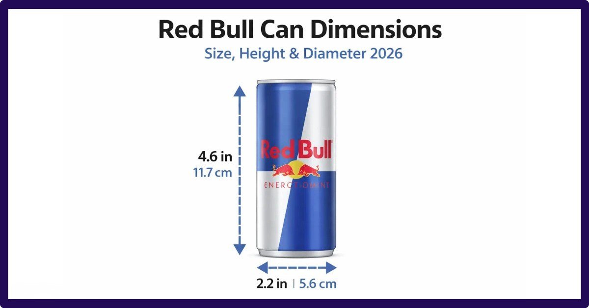 Red Bull Can Dimensions: A Complete Guide To Understanding