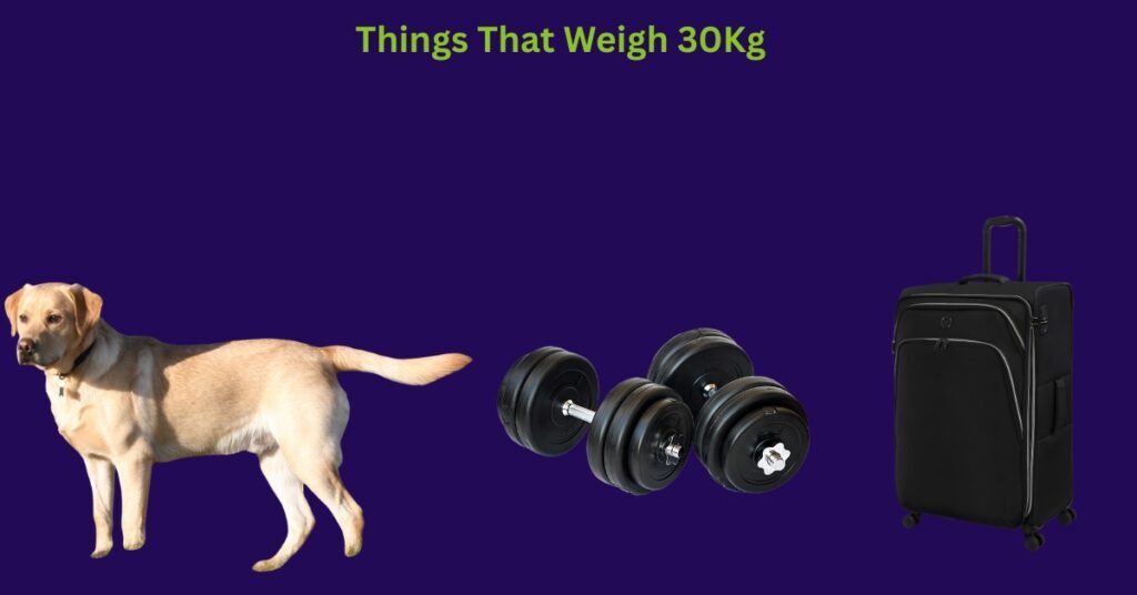 Things That Weigh 30Kg
