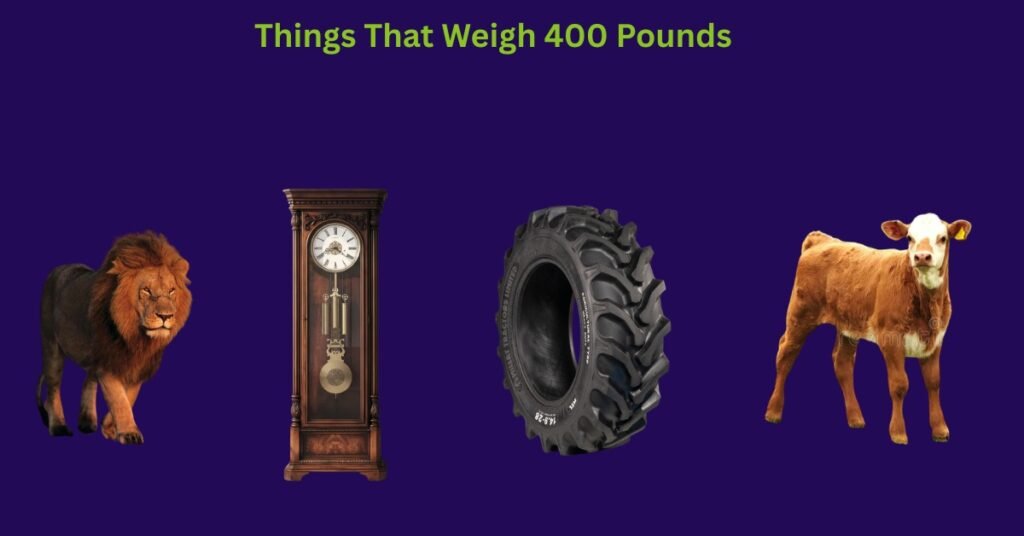 Things That Weigh 400 Pounds