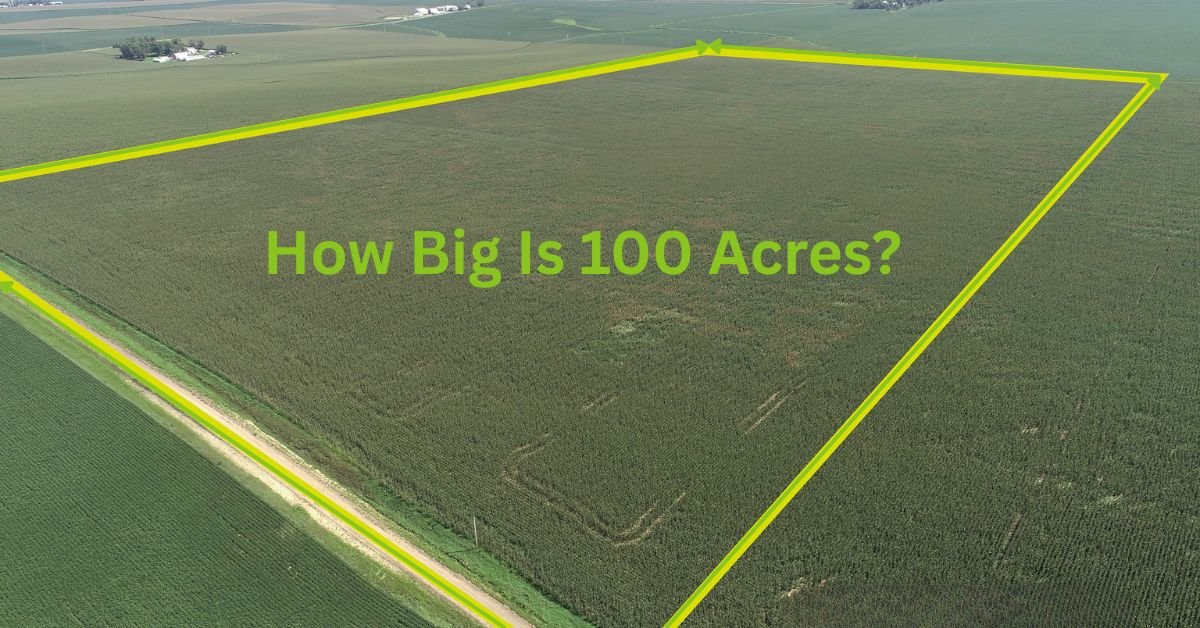 How Big Is 100 Acres: A Comprehensive Guide With Facts And Examples