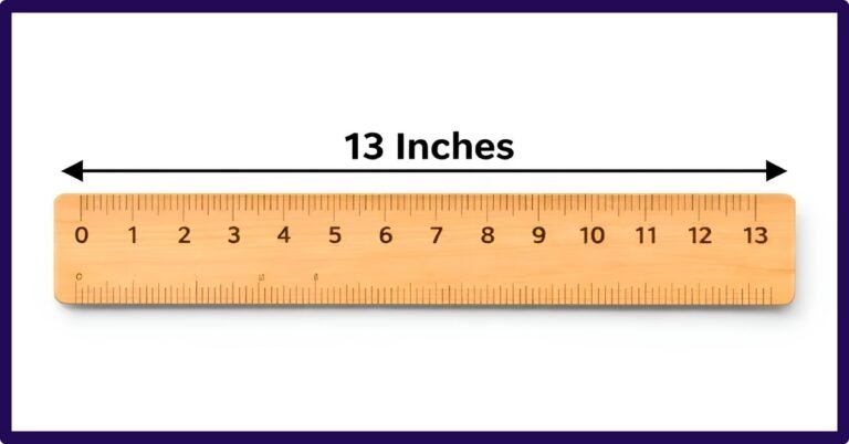 How Big Is 13 Inches? 11 Common Things That Are 13 Inches Long