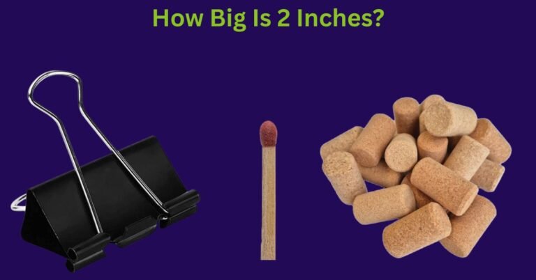 How Big Is 2 Inches: 6 Things That Are 2 Inches