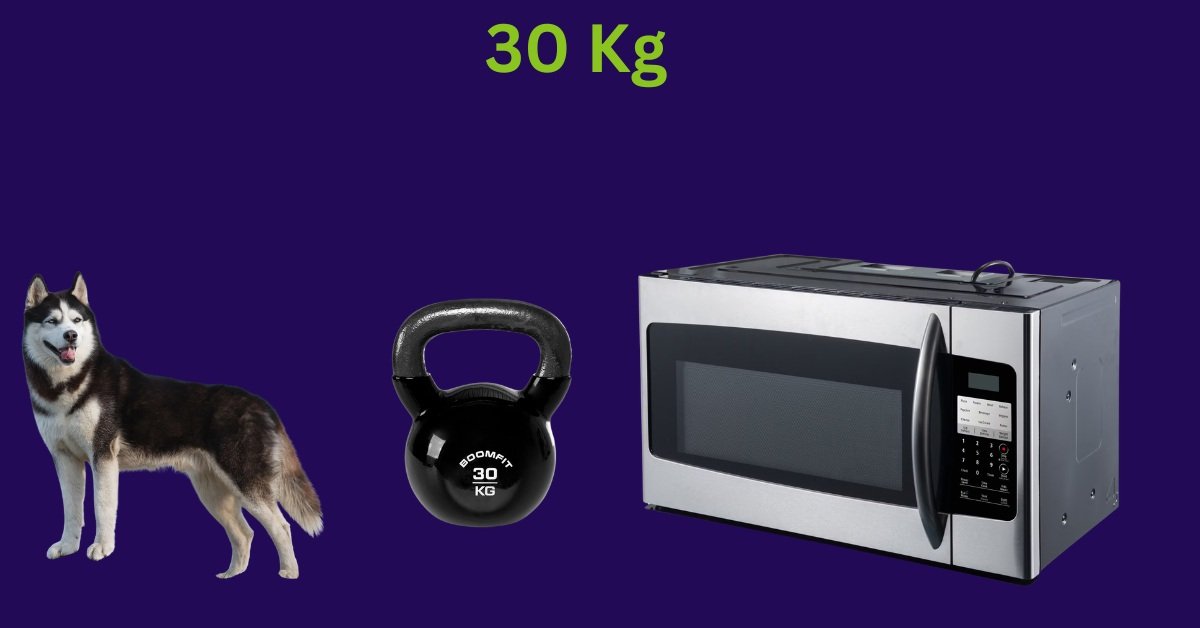 How Much Is 30 Kg: 10 Common Things That Weigh 30 Kg