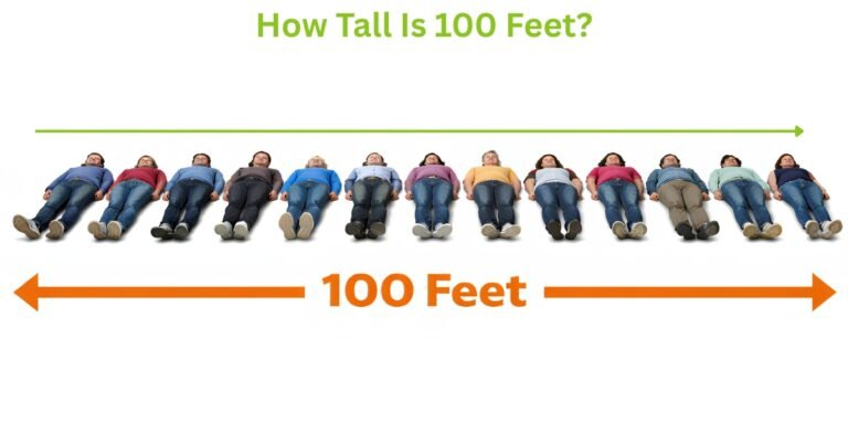 How Tall Is 100 Feet 15 Common Things That Are 100 Feet Long