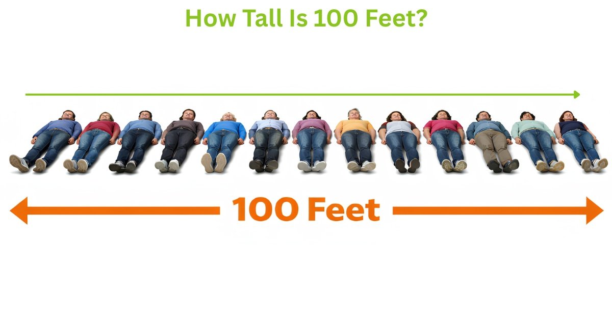 How Tall Is 100 Feet 15 Common Things That Are 100 Feet Long