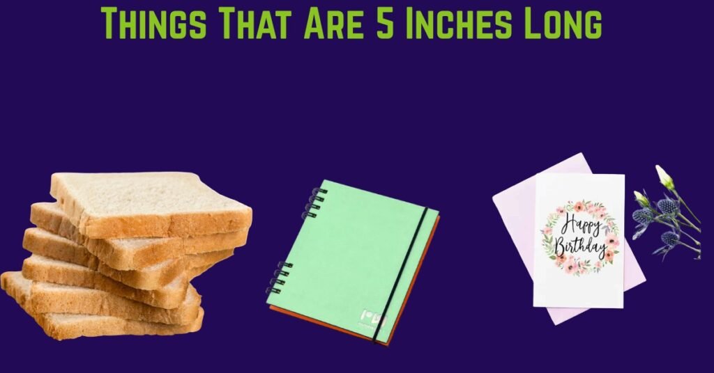 Things That Are 5 Inches