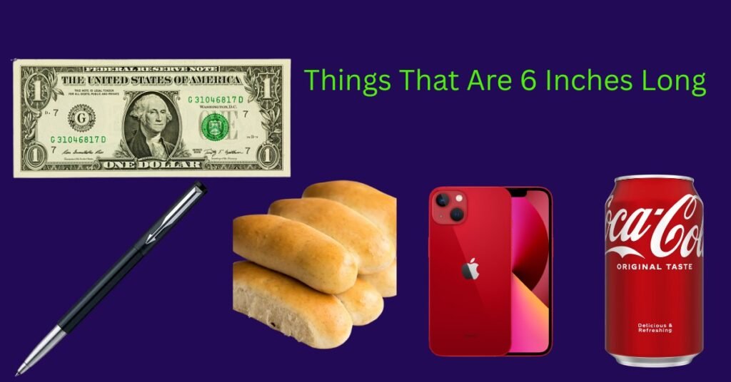 Things That Are 6 Inches