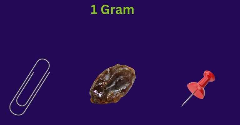 1 Gram: A Comprehensive Guide With Things That Weigh 1 Gram