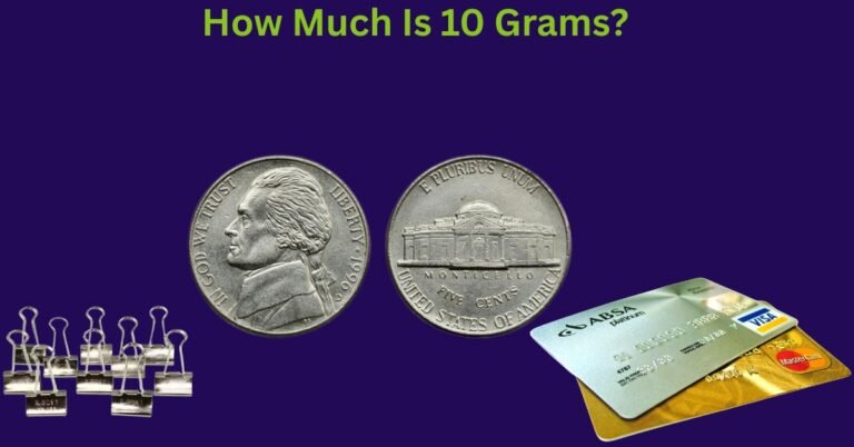 10 Grams: A Complete Guide With Things That Weigh 10 Grams