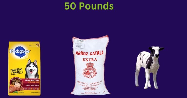 50 Pounds: 11 Most Common Things That Weigh 50 Pounds