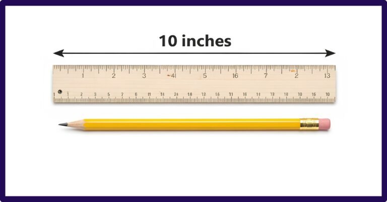 How Long Is 10 Inches? 6 Common Things That Are 10 Inches