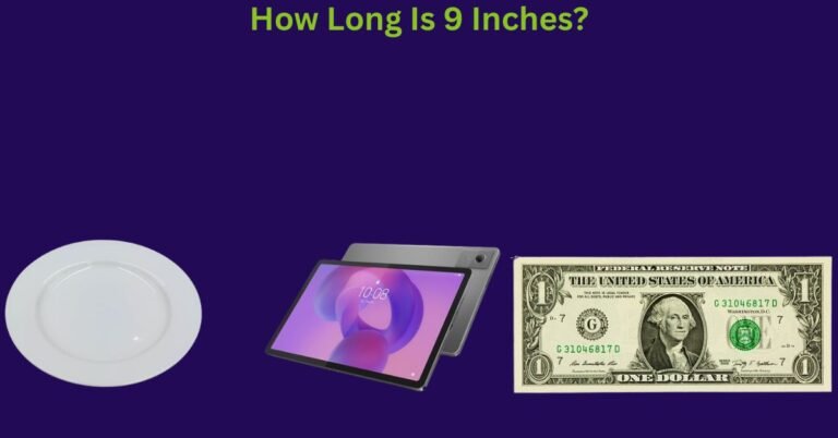 How Long Is 9 Inches? 6 Common Things That Are 9 Inches Long