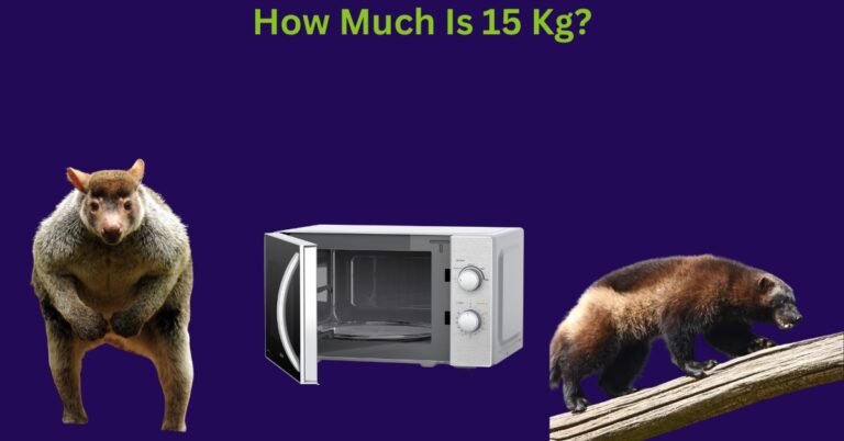 How Much Is 15 kg? A Comprehensive Guide With Things That Weigh 15Kg