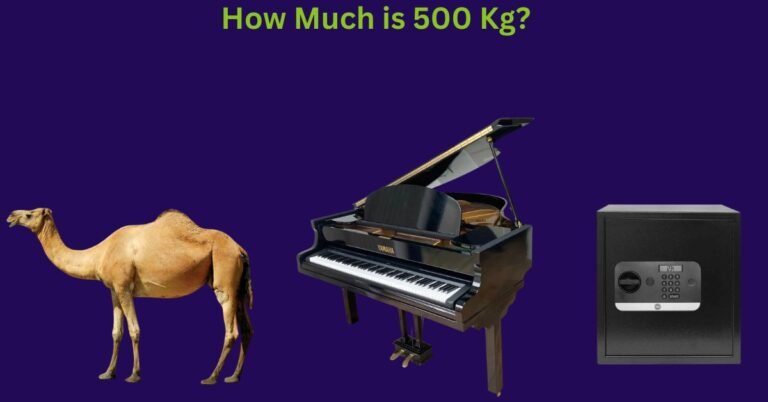 How Much is 500 Kg? 9 Routine Things That Weigh 500 Kilograms