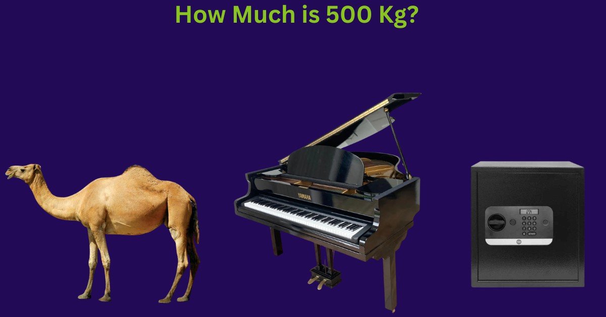 How Much is 500 Kg? 9 Routine Things That Weigh 500 Kilograms