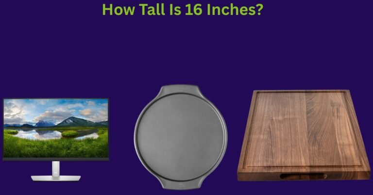 How Tall Is 16 Inches? 13 Daily Use Things That Are 16 Inches Long