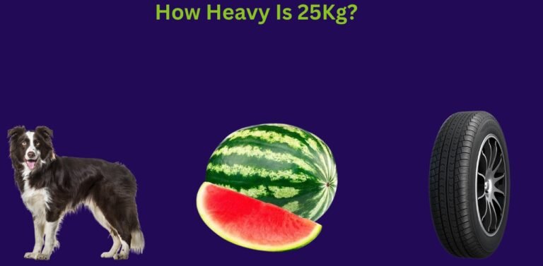 How Heavy Is 25kg? A Complete Guide With 6 Things That Are 25kg
