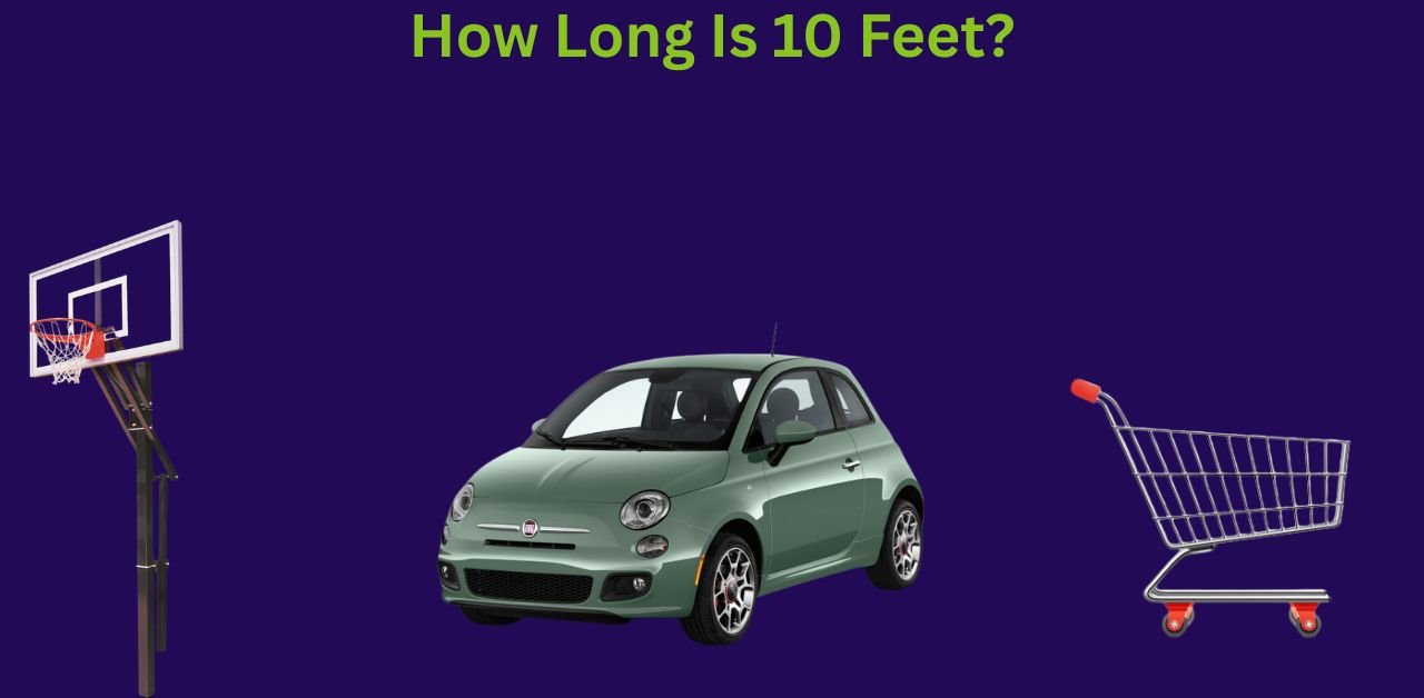 How Long Is 10 Feet? 12 Things That Are 10 Feet Tall
