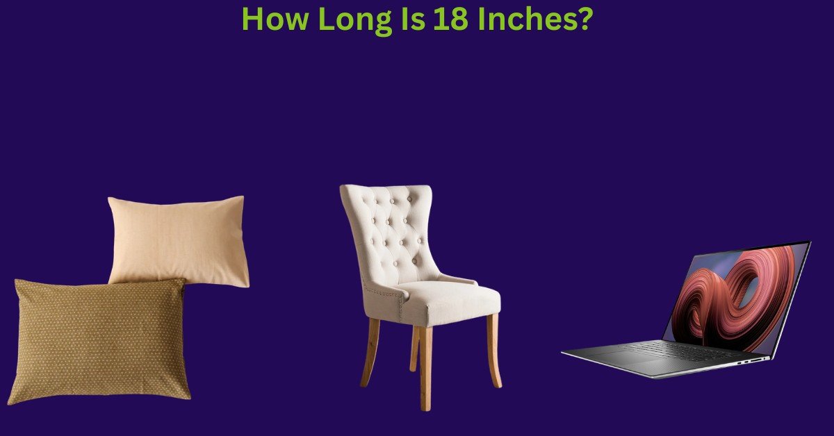 How Long Is 18 Inches? 12 Common Things That Are 18 Inches