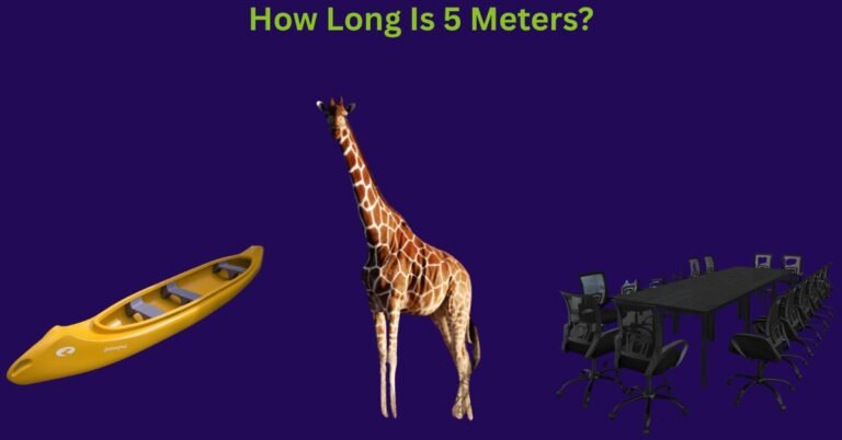 How Long Is 5 Meters? A Comprehensive Guide With Things That Are 5 Meters