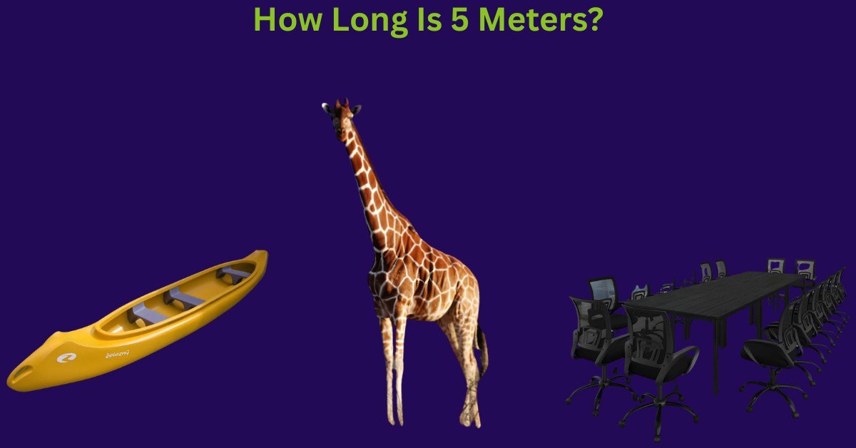 How Long Is 5 Meters? A Comprehensive Guide With Things That Are 5 Meters