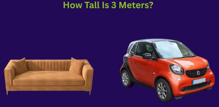 How Tall Is 3 Meters? A Comprehensive Guide With Things That Are 3 Meters Long
