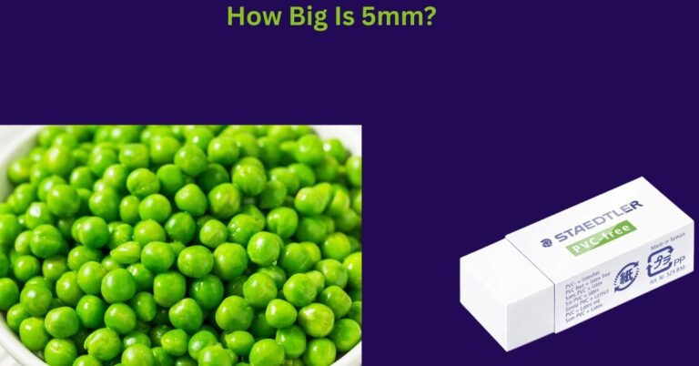 How Big Is 5mm? A Comprehensive Guide With Things That Are 5mm