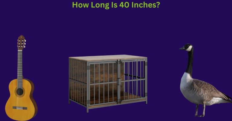 How Long Is 40 Inches? List Of Common Things That Are 40 Inches