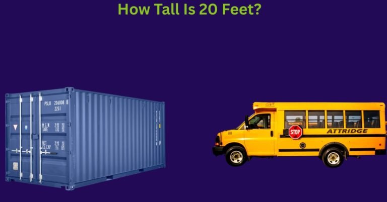 How Tall Is 20 Feet? 6 Most Common Things That 20 Feet